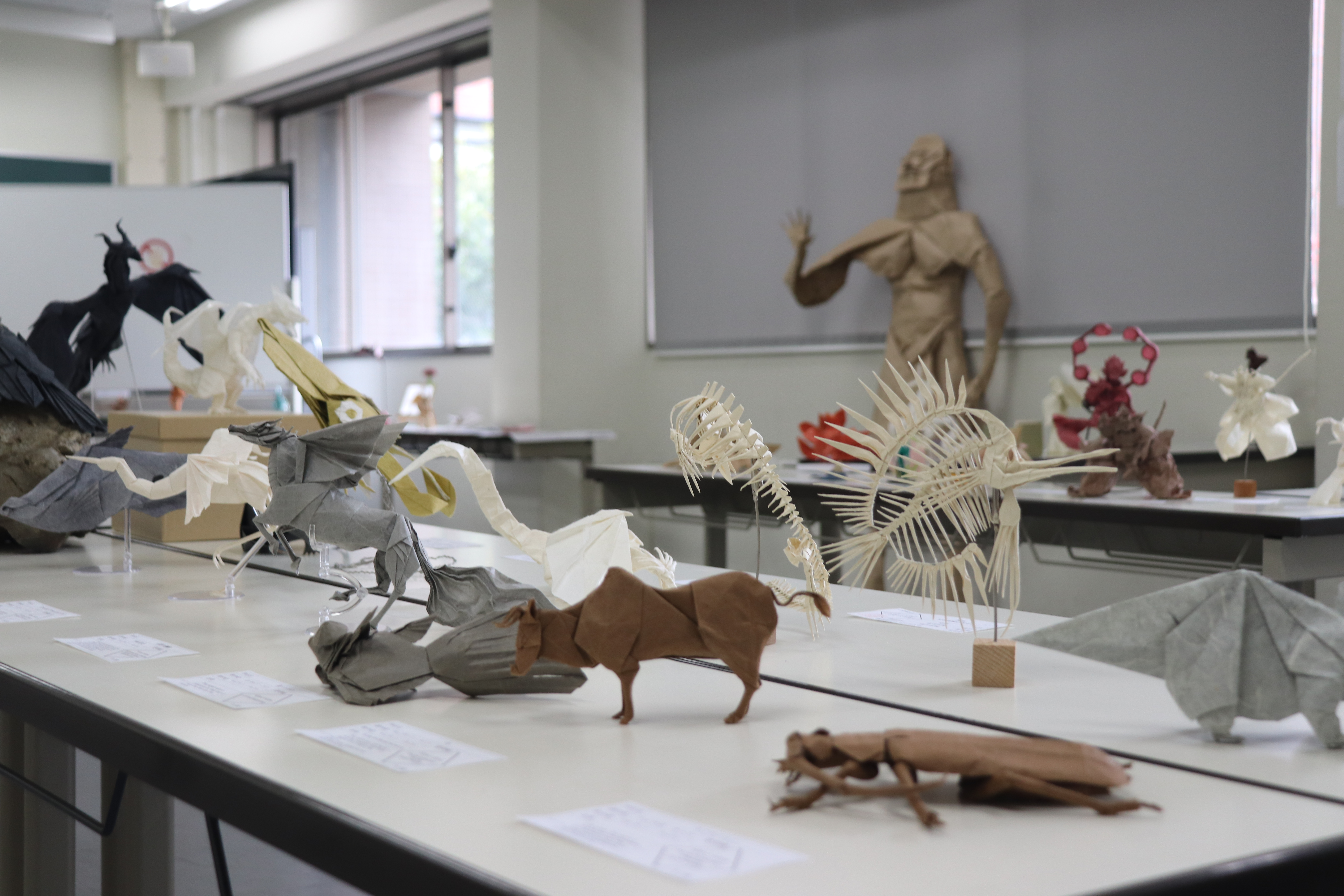 屋内担当の写真